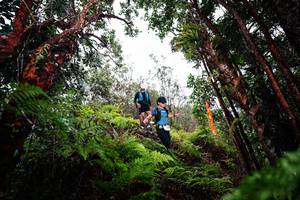 BIB: 
                            <button type="button" onclick="openModal(26201513)" class="btn btn-primary btn-sm float-right btn-popup" data-toggle="modal" data-target=".modal-high-quality">
                        <i class="fas fa-shopping-cart"></i> Add to Cart
                    </button>
                                            <button type="button" onclick="isThisMe(26201513, true)" class="btn btn-success btn-sm float-right btn-popup btn-isme hidden" data-toggle="tooltip" data-placement="bottom" title="นี่คือรูปของคุณใช่ไหม คลิกที่นี่เพื่อเอาเข้าอัลบั้ม">
                        <i class="fas fa-plus"></i> Add to album
                    </button>
                    <button type="button" onclick="isThisMe(26201513, false)" class="btn btn-warning btn-sm float-right btn-popup btn-isnotme hidden">
                        <i class="fas fa-ban"></i> Remove from album
                    </button>